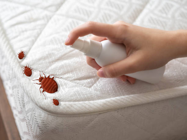 Best Residential Pest Control  in Almont, MI